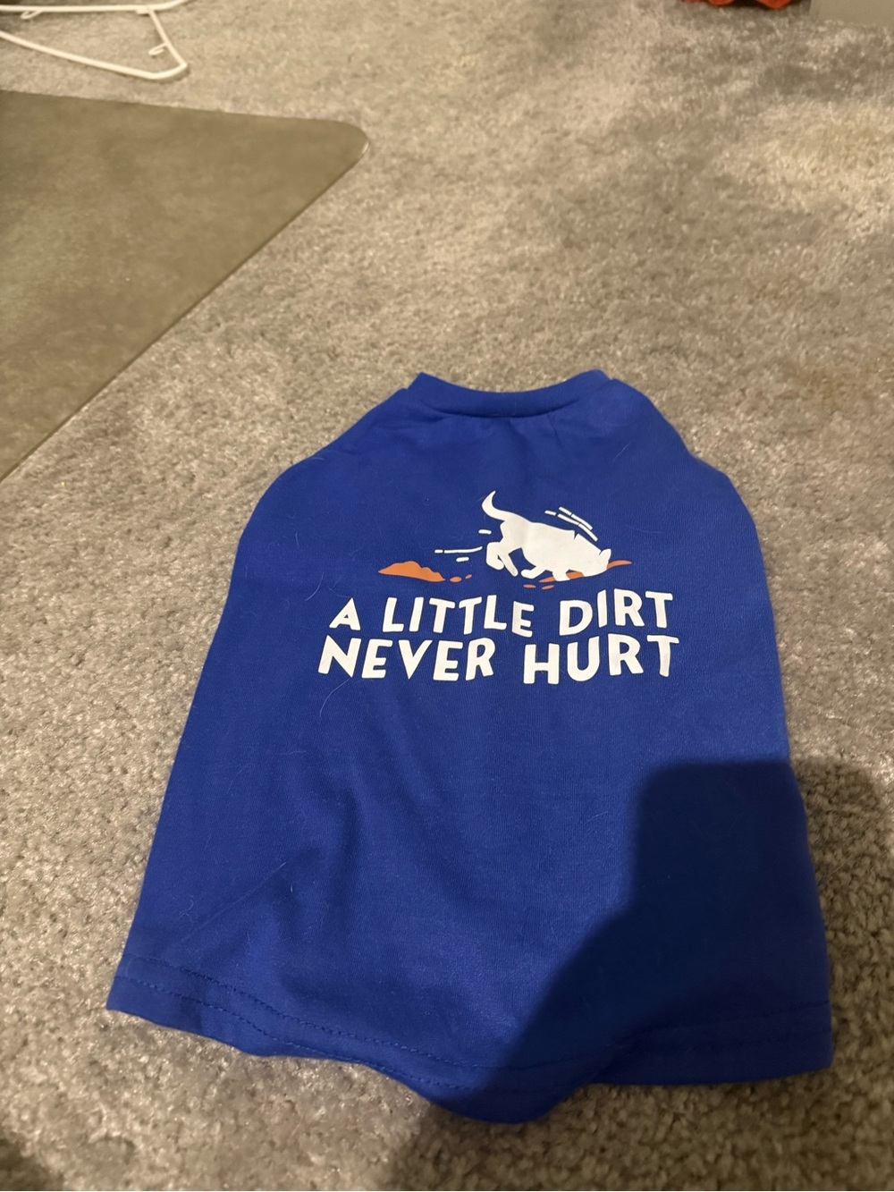Blue 'A Little Dirt Never Hurt' Short Sleeve Top
